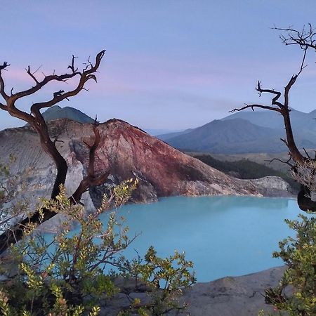 Nio Homestay And Tour Licin Luaran gambar